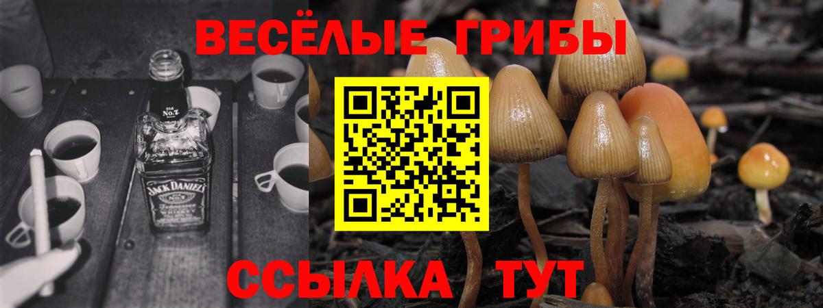 Галлюциногенные грибы MAGIC MUSHROOMS  Вход с VPN  Сердобск 